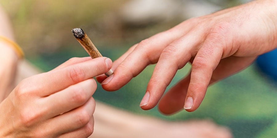 Domptez Votre Tolérance Au Cannabis Dès Aujourd’hui !