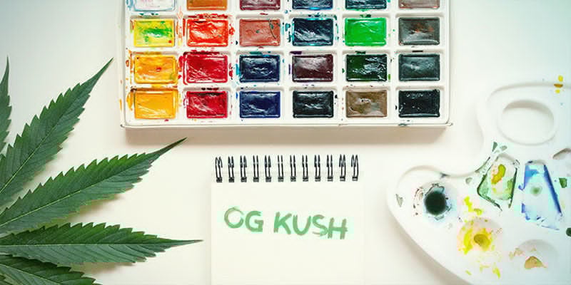 Caractéristiques De l’OG Kush