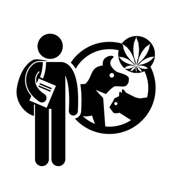 Recherche sur le cannabis animal