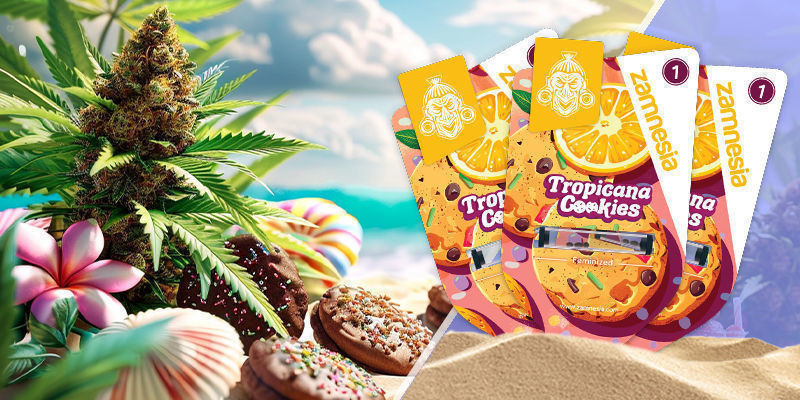 Tropicana Cookies