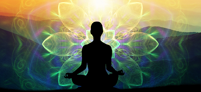 Méditer Avec L'Ayahuasca Méditer Avec L'Ayahuasca