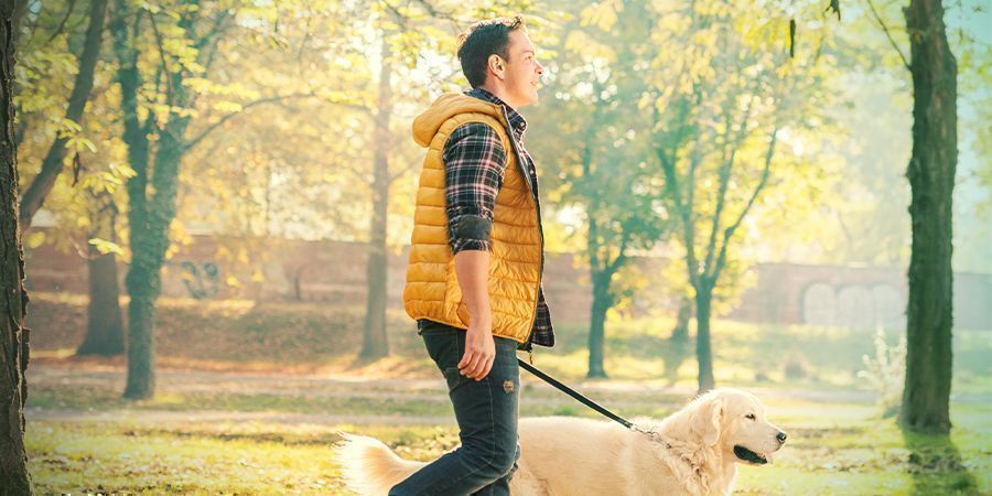 Comment Prévenir Ce Clouage Au Canapé