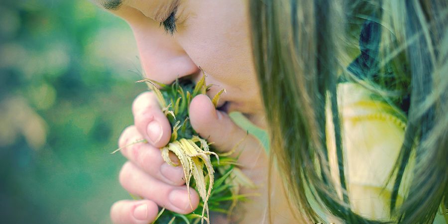 Raisons D'Arrêter Le Tabac: Votre Odorat Et Votre Goût