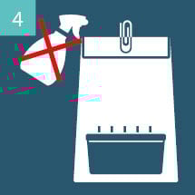 Phase de formation des primordia