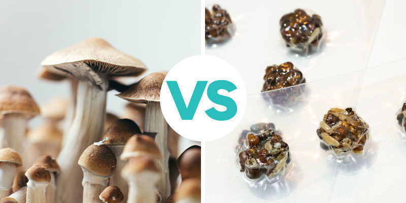 Quelle est la différence entre les champignons et les truffes magiques ?