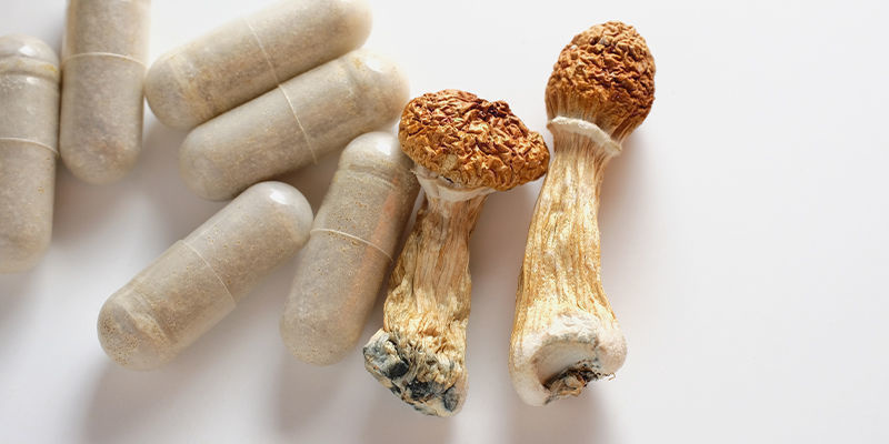 Comment consomme-t-on les truffes et les champignons magiques ?