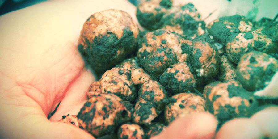 COMMENT MARCHENT LES TRUFFES MAGIQUES?