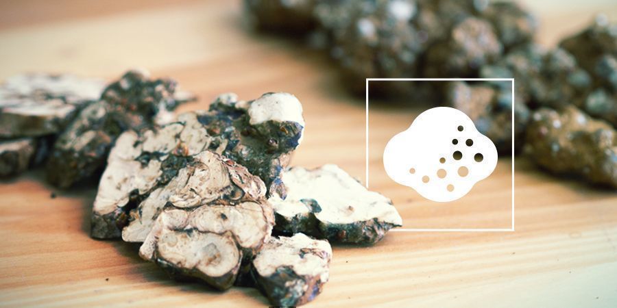 COMMENT MARCHENT LES TRUFFES MAGIQUES?