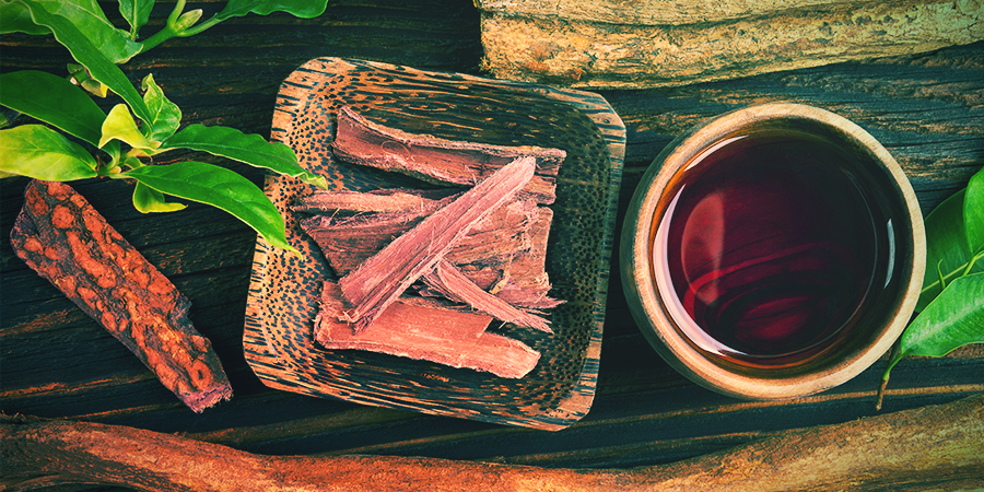 Usage De l’Ayahuasca Usage De l’Ayahuasca