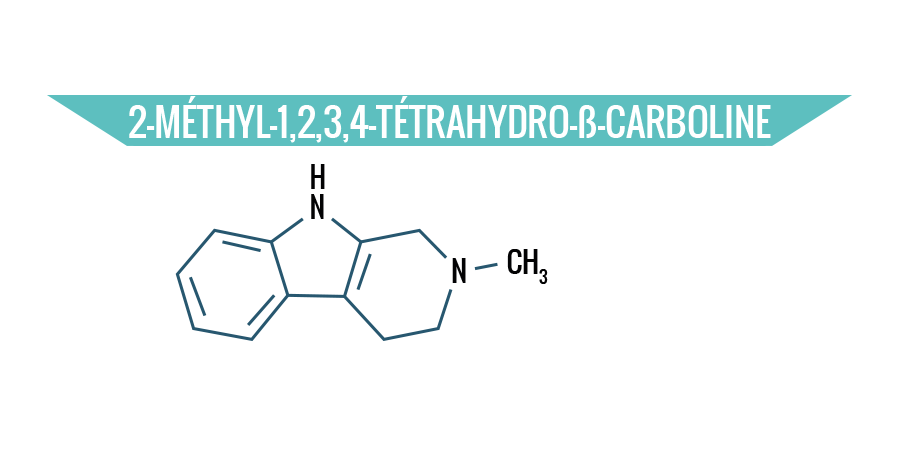 2-méthyl-1,2,3,4-tétrahydro-ß-carboline 2-méthyl-1,2,3,4-tétrahydro-ß-carboline