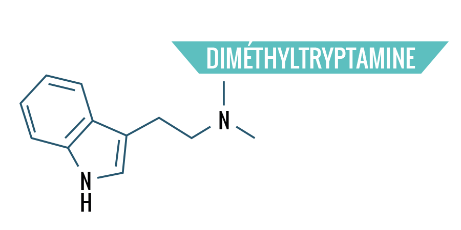 Diméthyltryptamine Diméthyltryptamine