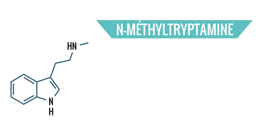 N-Méthyltryptamine N-Méthyltryptamine