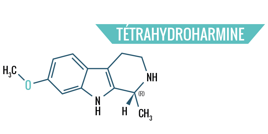 Tétrahydroharmine Tétrahydroharmine