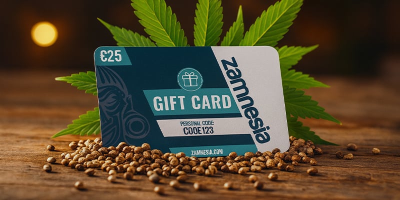 Cartes-cadeaux Zamnesia