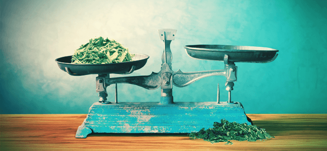PEUT-ON FAIRE UNE OVERDOSE DE SALVIA ?