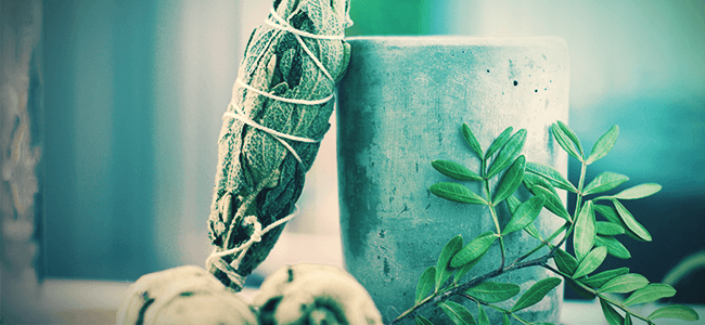 Comment Consommer De La Salvia Divinorum ? Comment Consommer De La Salvia Divinorum ?