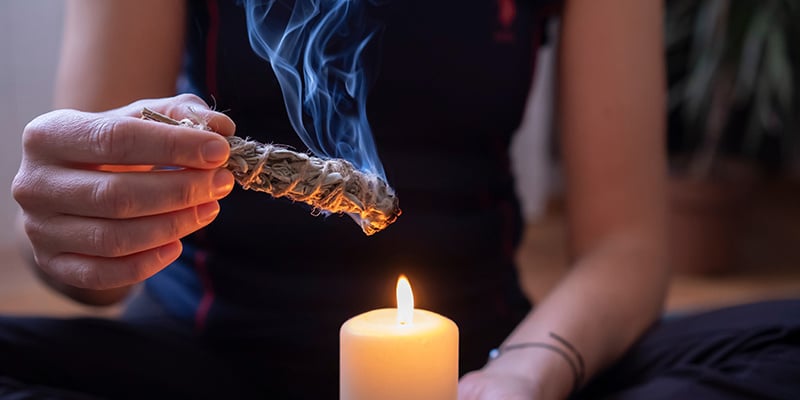 Où acheter de la Salvia divinorum et considérations relatives à la sécurité