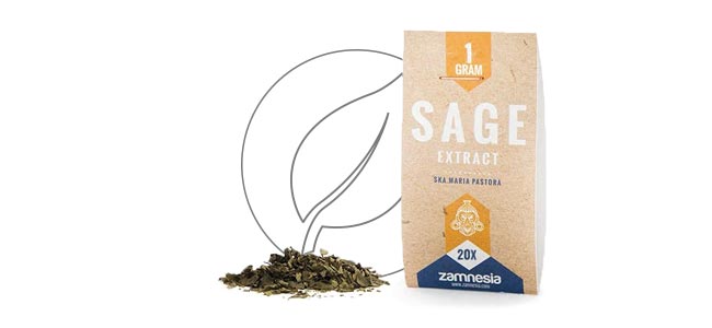 SALVIA EXTRACT 20X (1 GRAMME)