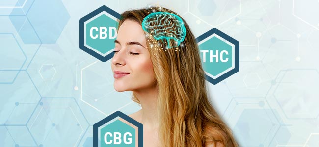 Cannabinoïds Cannabinoïds