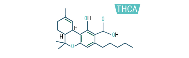THCA THCA