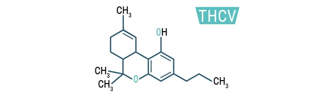 THCV