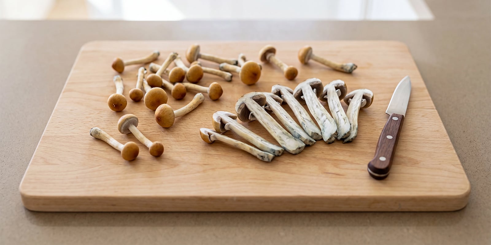 Comment couper les gros champignons avant le séchage Comment couper les gros champignons avant le séchage