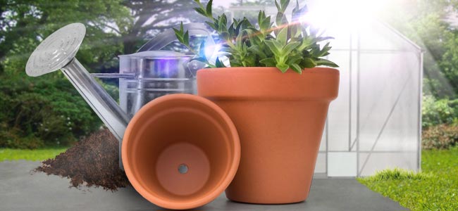 Pots, Terre Et Conditions De Culture Pots, terre et conditions de culture