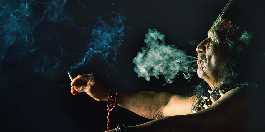 Le Régime Ayahuasca IMAO Le Régime Ayahuasca IMAO
