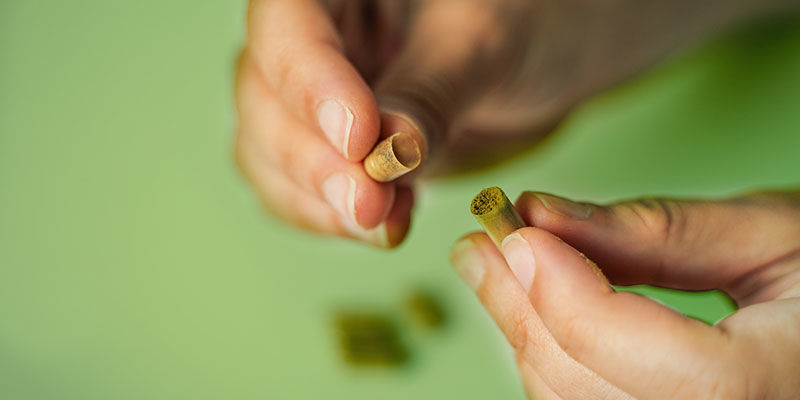 CAPSULES DE CHAMPIGNONS MAGIQUES