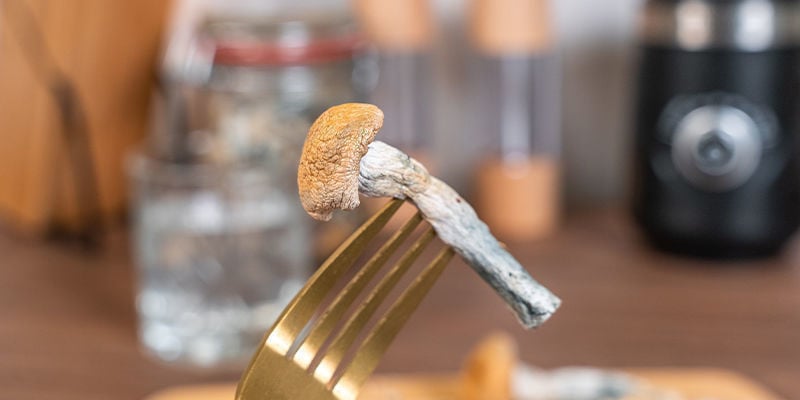 Mâcher Et Avaler Des Champignons Magiques