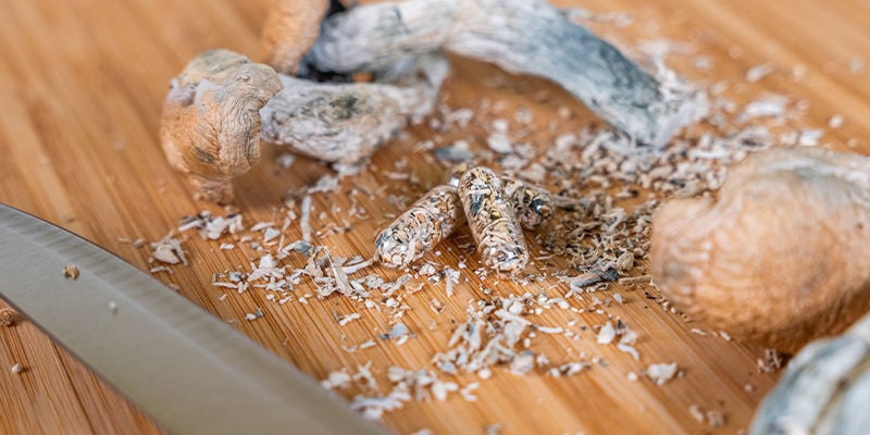 Prendre Des Gélules De Champignons Magiques
