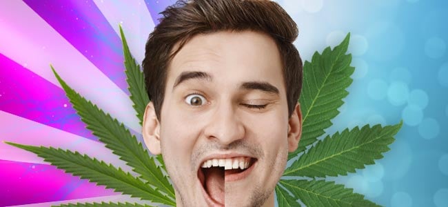 Sativa vs. Indica: Effets