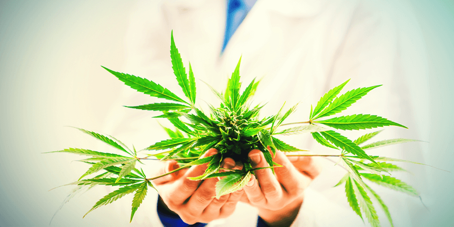 Que fait le CBD ?