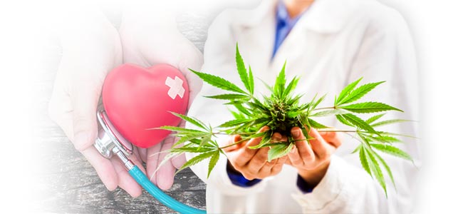 Que fait le CBD ?