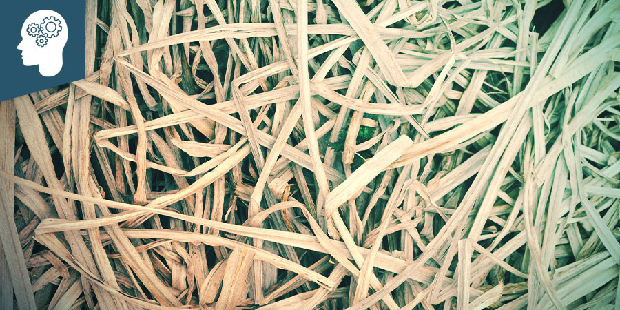 L’Acore Odorant (Calamus)