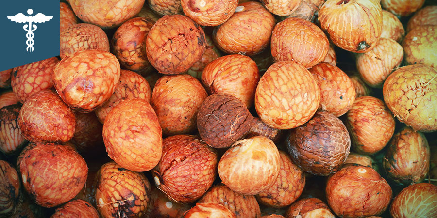 Noix De Bétel Noix De Bétel