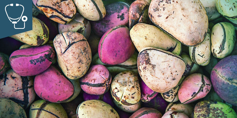 Noix De Kola
