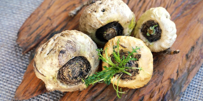 Les 15 Meilleures Herbes Naturelles Pour L'énergie Et La Vitalité - Zamnesia