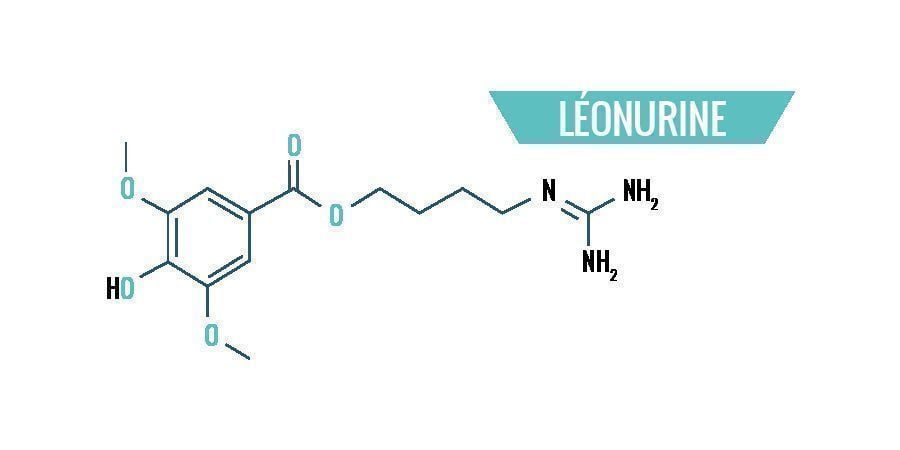 Chimie de Leonotis Leonurus