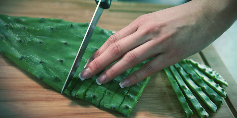 Comment Préparer Le Cactus Des Quatre Vents. COMMENT PRÉPARER LE CACTUS DES QUATRE VENTS.