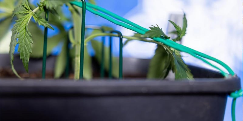 Plier la tige principale en toute sécurité Plier la tige principale en toute sécurité