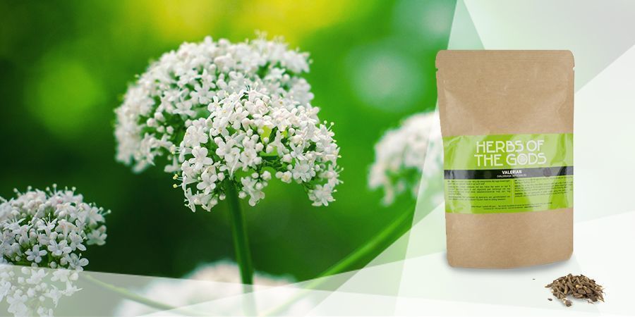 Valériane - Herbes À Vaporiser Pour La Bonne Humeur