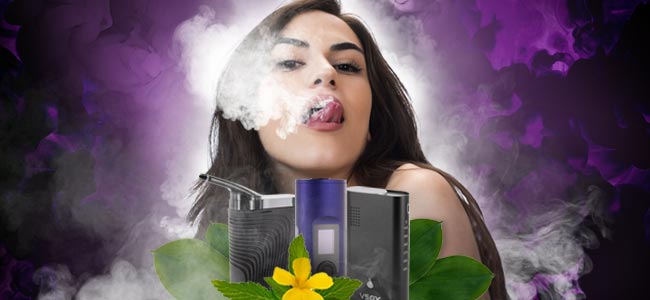Herbes À Vaporiser Comme Aphrodisiaque Herbes À Vaporiser Comme Aphrodisiaque