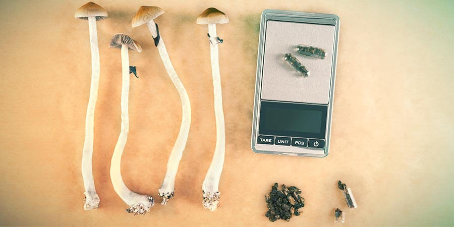 COMMENT PRÉPARER DES CAPSULES DE MICRODOSES DE CHAMPIGNONS MAGIQUES