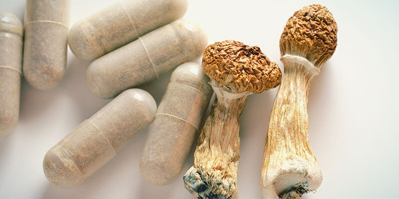 Comment faire pousser des champignons ? [Le guide ultime]