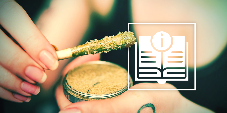 Le Guide Ultime Des Concentrés De Cannabis Le Guide Ultime Des Concentrés De Cannabis