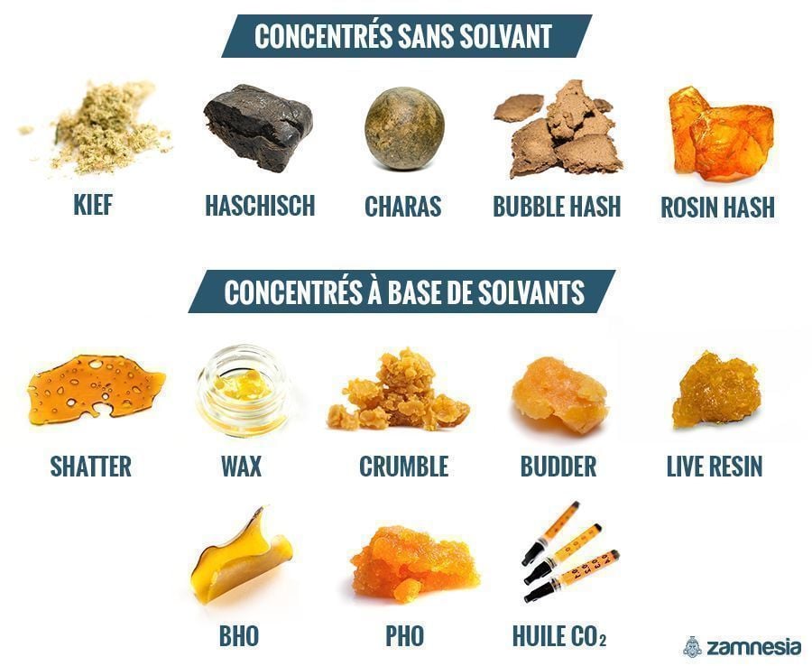 DIFFÉRENTS TYPES DE CONCENTRÉS : AVEC OU SANS SOLVANT