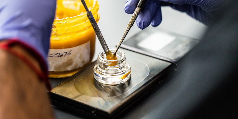 Fabrication et préparation des concentrés de cannabis