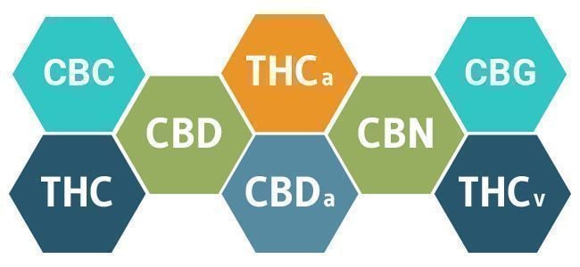 Isolat De CBD Et CBD À Spectre Complet : Avantages Et Inconvénients