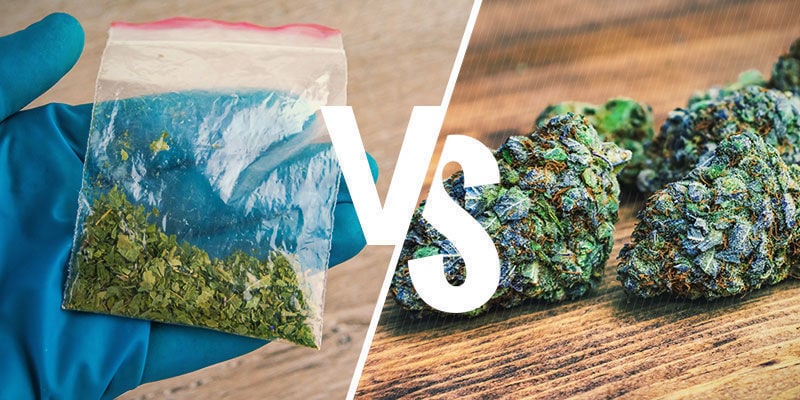 Cannabis Synthétique Ou Naturel : Quelle Différence ?